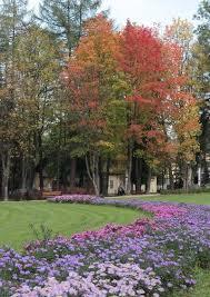 Park Zdrojowy w Rabce-Zdroju